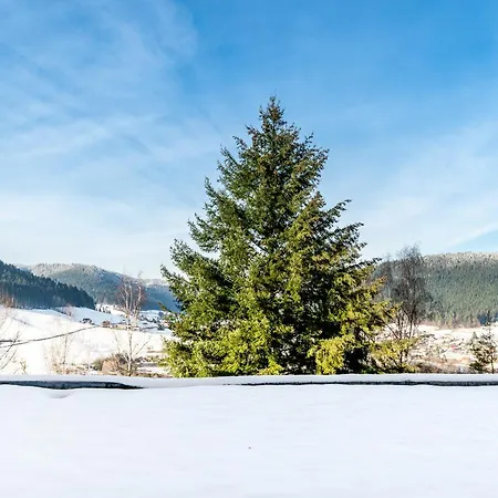 Juri5 In Mit Pool 아파트 *