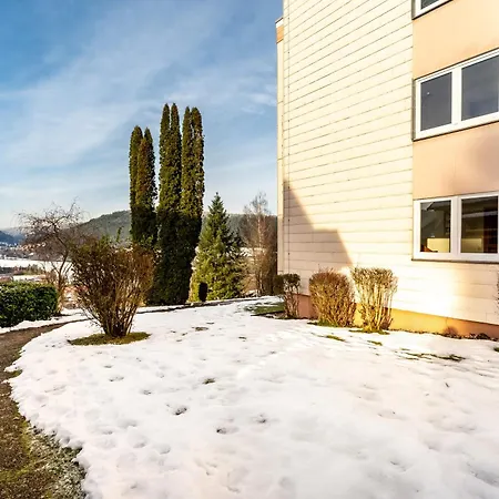 Juri5 In Mit Pool Apartment Baiersbronn